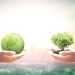 What Are Socially Conscious Companies And How To Invest In Them
