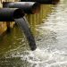 5 Reasons for Water Pollution and How to Prevent it