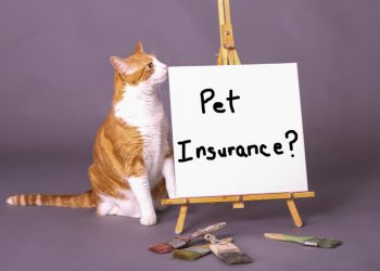 Understanding How Pet Insurance Works