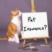 Understanding How Pet Insurance Works