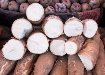 What is Tapioca? | Top 6 benefits of Tapioca