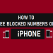 How To See Blocked Numbers on iPhone | A step by step Guide