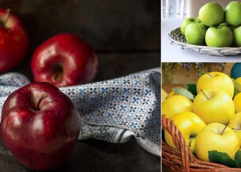 List of Best 20 Types of Apple