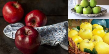 List of Best 20 Types of Apple