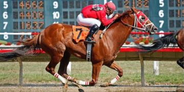 Top Tips For Making Money Betting On Horse Racing