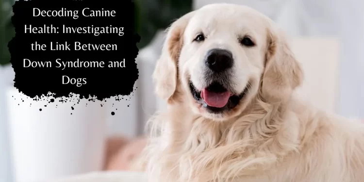 can dogs have down syndrome