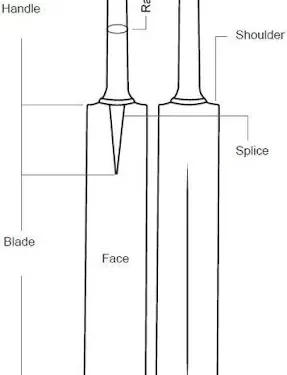 What Makes a Cricket Bat Special: A Simple Guide