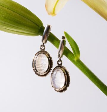 stainless steel earrings